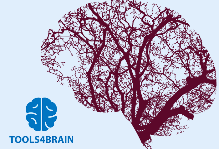 TOOLS4BRAIN (led by NISA) has been funded under the ERASMUS+ programme KA2
